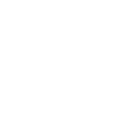 Julia Loves Rocks