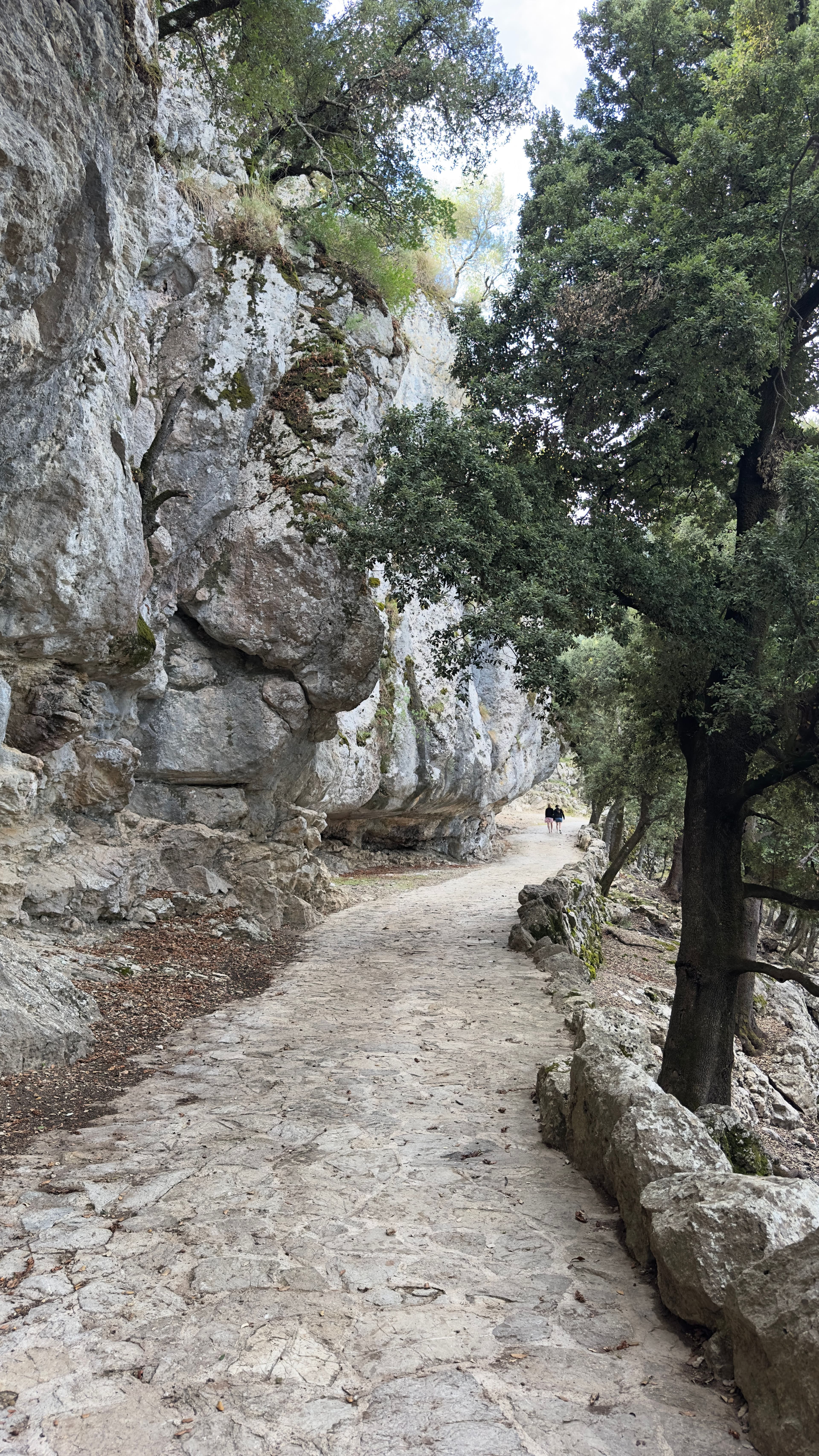 Walking a shaded mountain path