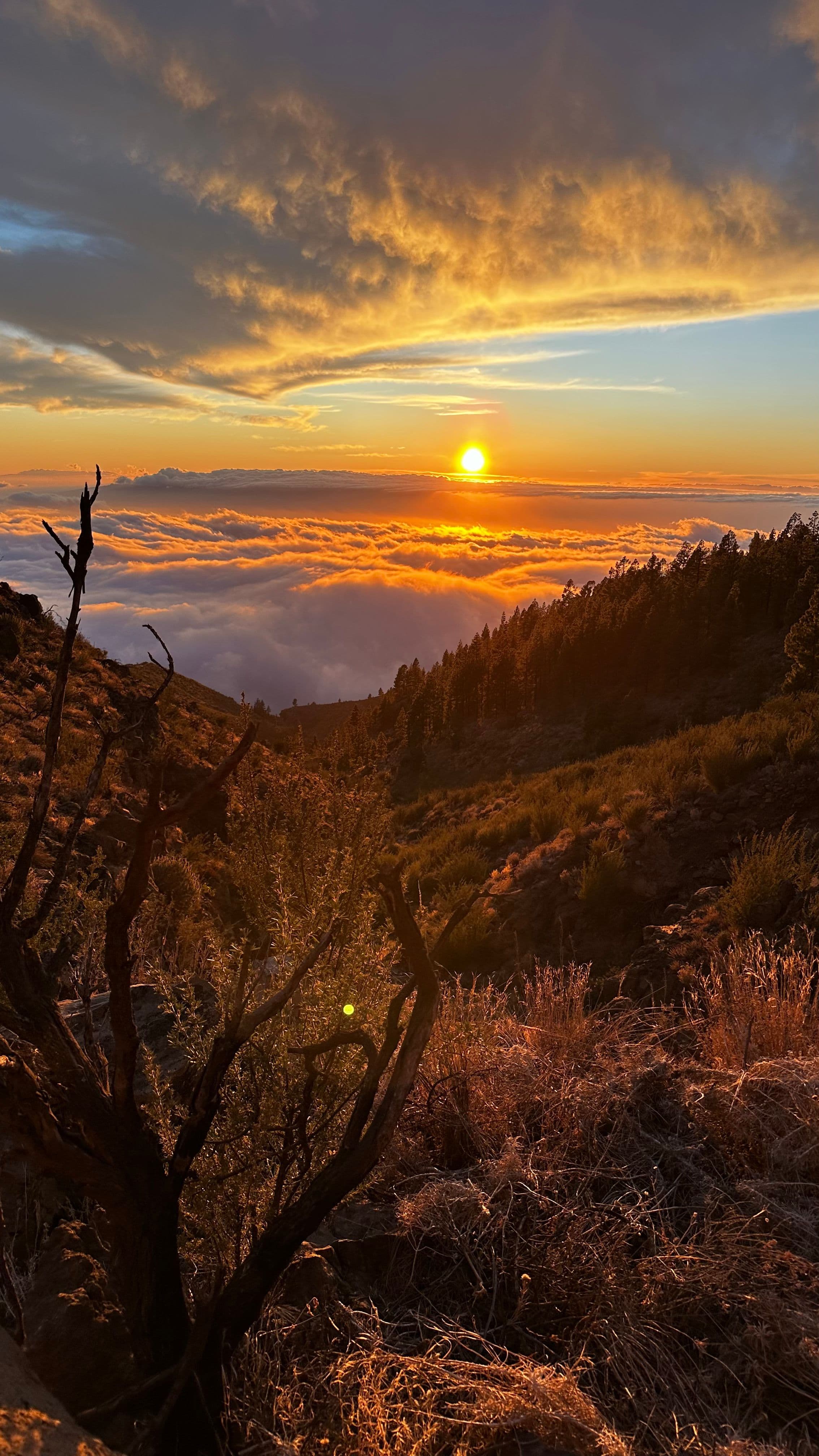 Sunset above the sea of clouds, Tenerife