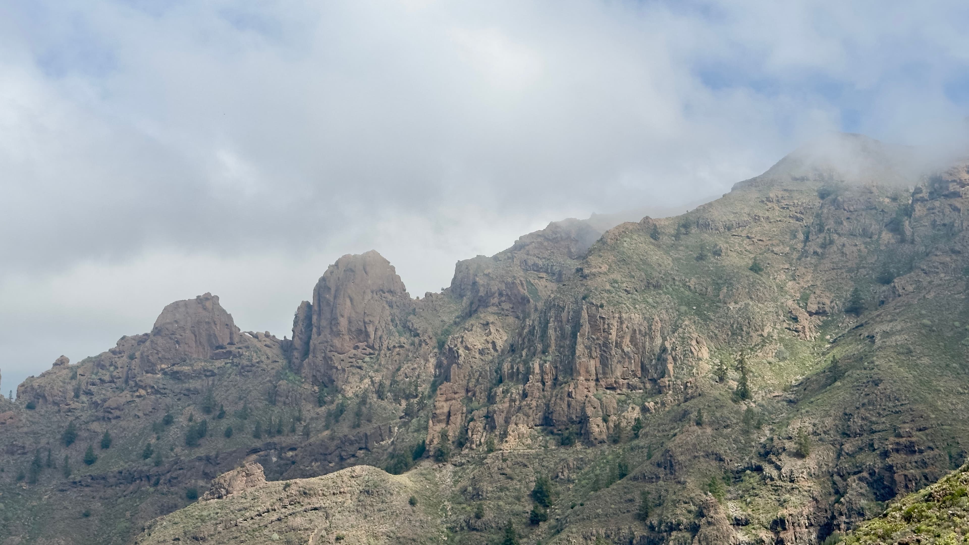 Ifonche pine slopes and barranco